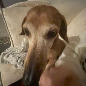 Meet your Posher, Paul